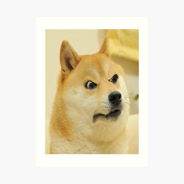 Angry Doge With Gun