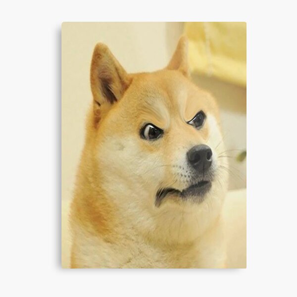 Doge Metal Prints Redbubble - roblox angry doge
