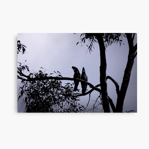 here's looking at you Canvas Print