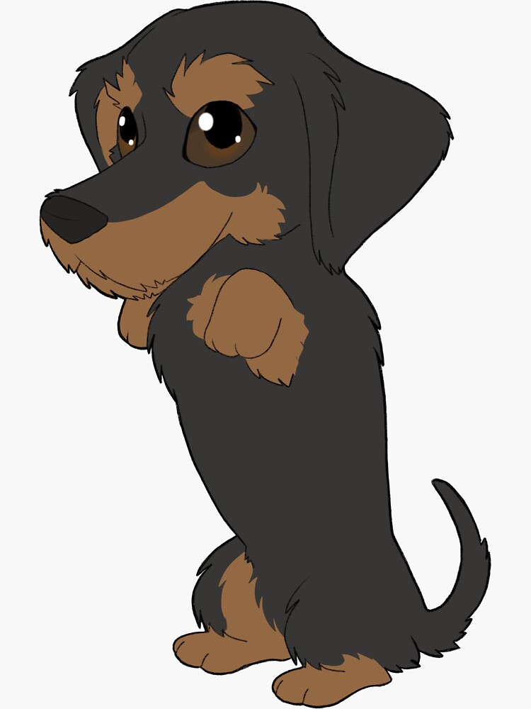 Wirehaired Dachshund (black & tan) by KiwiJP