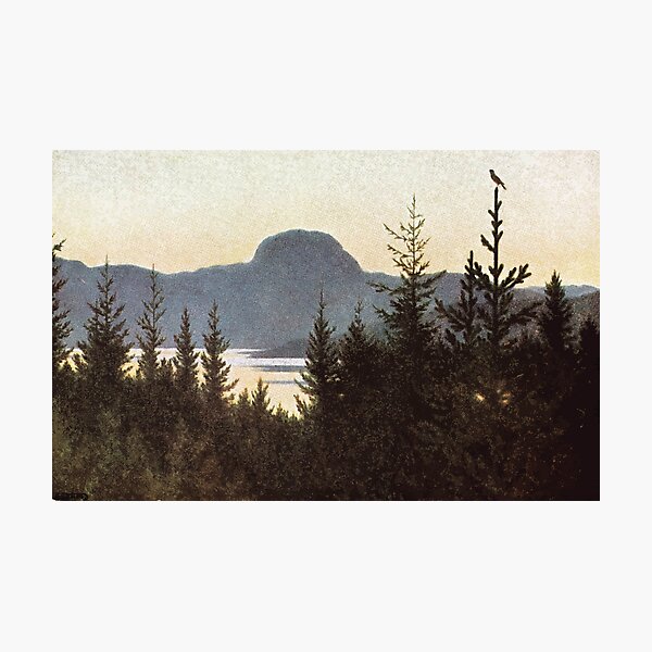 Item preview, Postcard Theodor Kittelsen Andersnatten postkort designed and sold by wetdryvac.