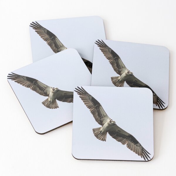 Item preview, Osprey 2019-8 designed and sold by Thomasyoung.