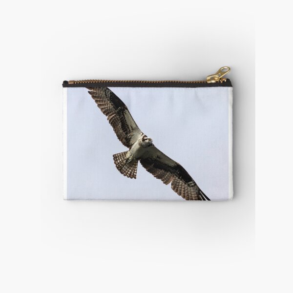 Item preview, Osprey 2019-8 designed and sold by Thomasyoung.