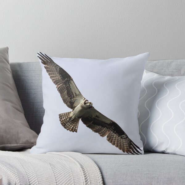 Item preview, Osprey 2019-8 designed and sold by Thomasyoung.