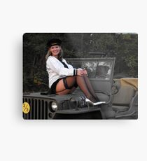 September, 2009 Metal Print