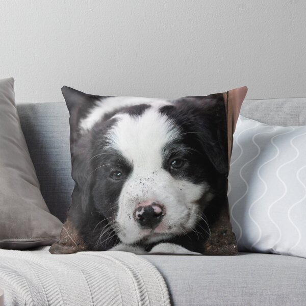 Item preview, Sleeping Puppy designed and sold by Rainbow Farm Photography.