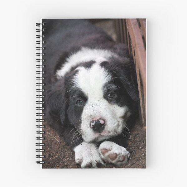Item preview, Sleeping Puppy designed and sold by Rainbow Farm Photography.