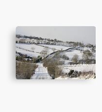 snow scene Canvas Print