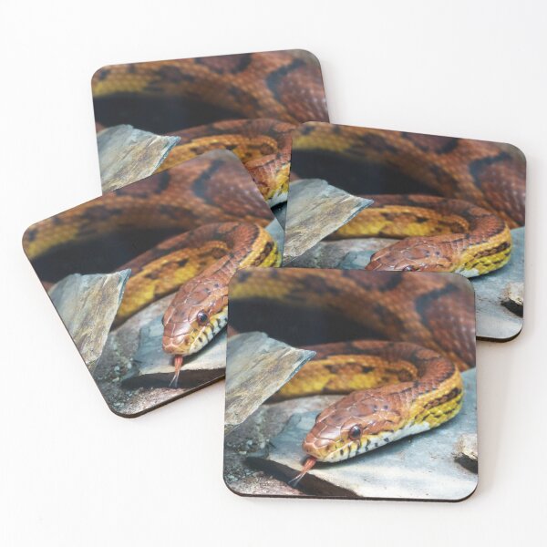 Item preview, Snake designed and sold by Tjaša Rome.