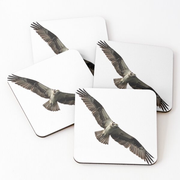 Item preview, Isolated Osprey 2019-4 designed and sold by Thomasyoung.