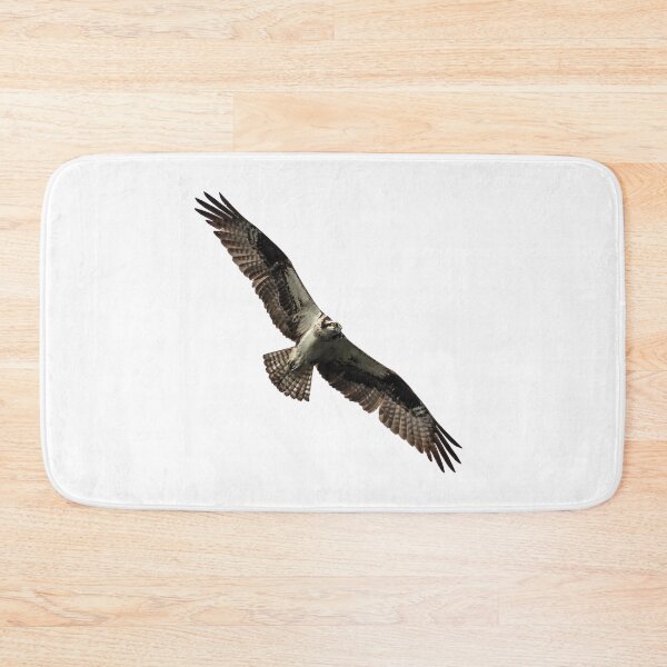 Item preview, Isolated Osprey 2019-4 designed and sold by Thomasyoung.