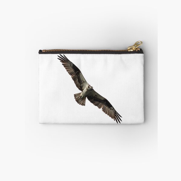 Item preview, Isolated Osprey 2019-4 designed and sold by Thomasyoung.