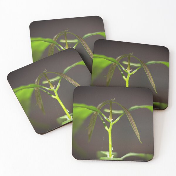 Item preview, plant designed and sold by ricobarinas.
