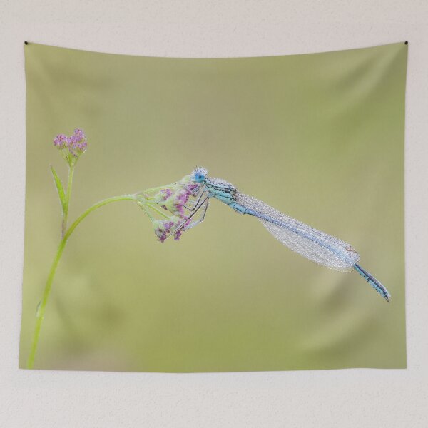 Item preview, White Legged Damselfly designed and sold by Alec Stewart.