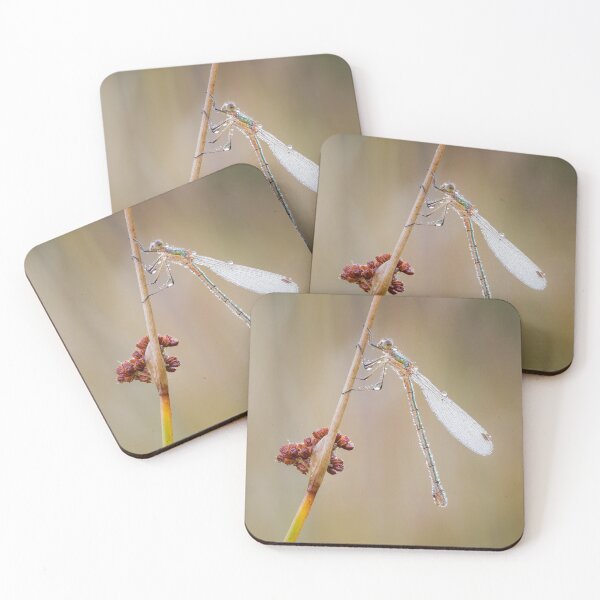 Item preview, Emerald Damselfly on Rush designed and sold by Alec Stewart.