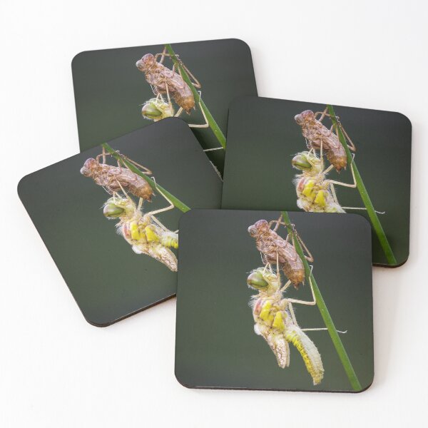 Item preview, Common Darter Dragonfly Emerging designed and sold by Alec Stewart.
