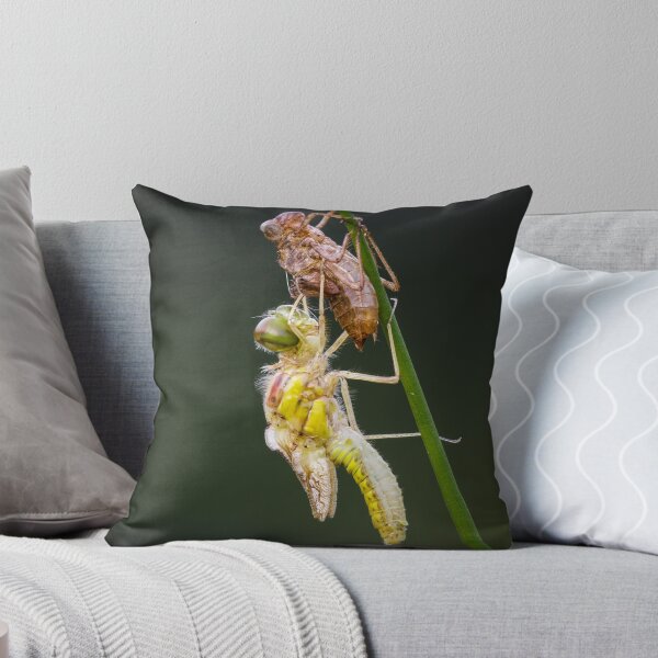 Item preview, Common Darter Dragonfly Emerging designed and sold by Alec Stewart.