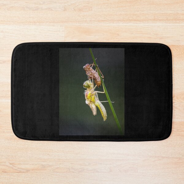 Item preview, Common Darter Dragonfly Emerging designed and sold by Alec Stewart.