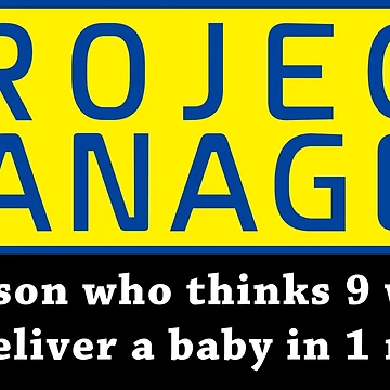 Artwork thumbnail, Project Manager by echovolution
