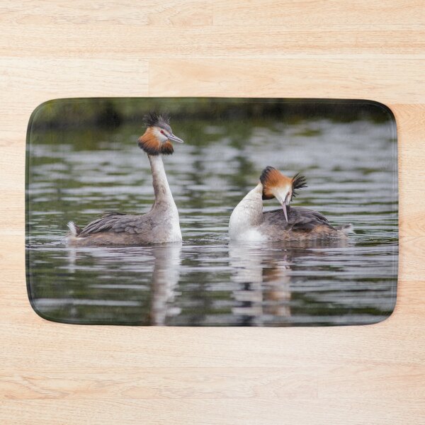 Item preview, Great Crested Grebe Courtship designed and sold by Alec Stewart.