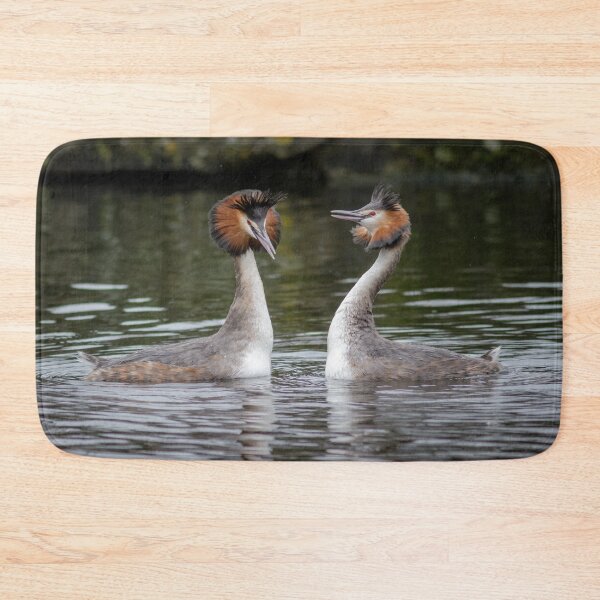 Item preview, Great Crested Grebe Courtship designed and sold by Alec Stewart.