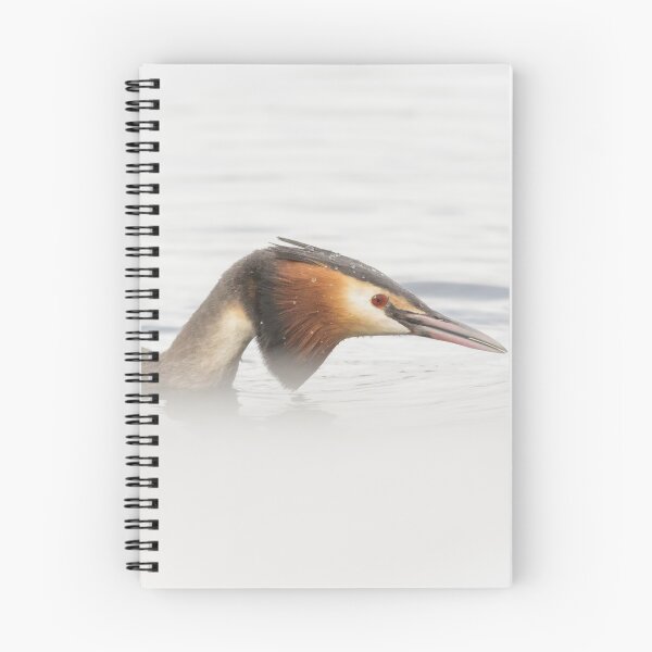 Item preview, Great Crested Grebe Up Close designed and sold by Alec Stewart.