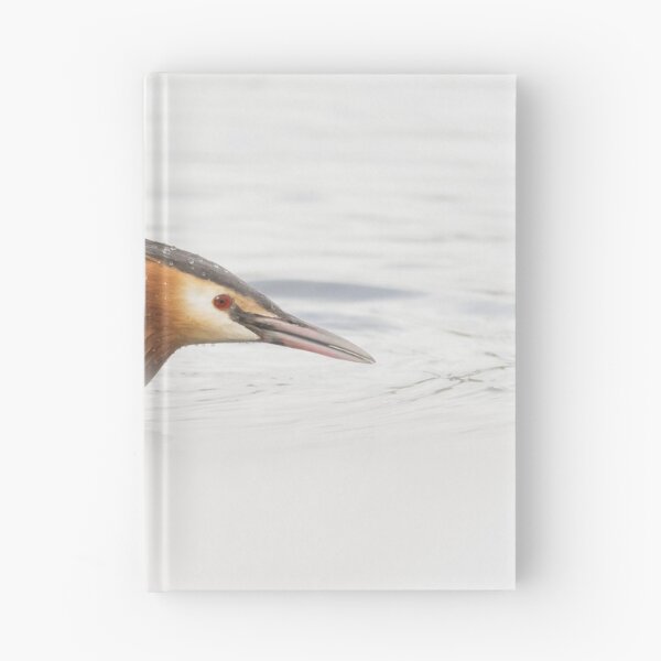 Item preview, Great Crested Grebe Up Close designed and sold by Alec Stewart.