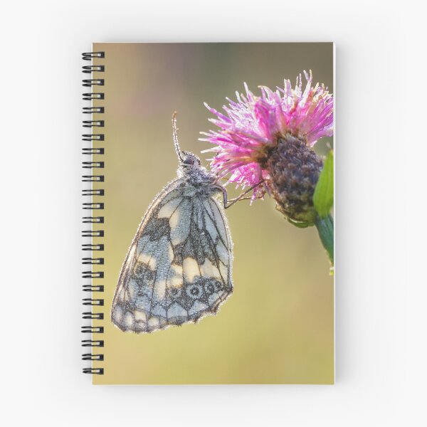 Item preview, Marbled White Butterfly Backlit designed and sold by Alec Stewart.