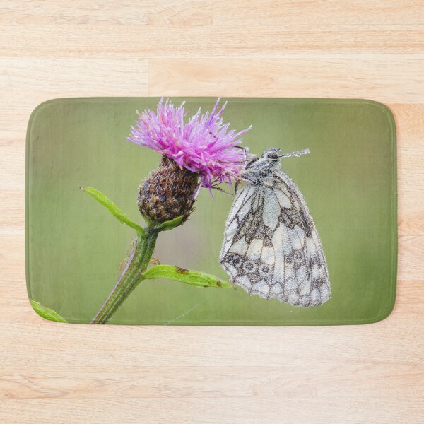 Item preview, Marbled White Butterfly on Knapweed designed and sold by Alec Stewart.