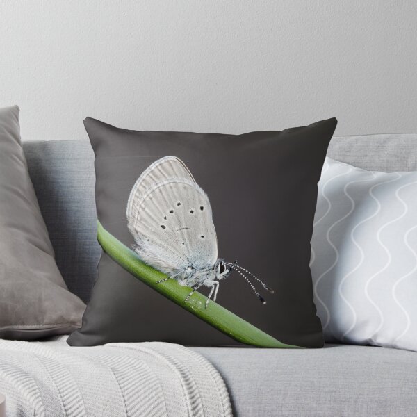 Item preview, Small Blue Butterfly designed and sold by Alec Stewart.