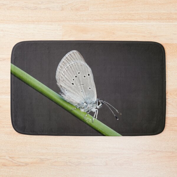 Item preview, Small Blue Butterfly designed and sold by Alec Stewart.