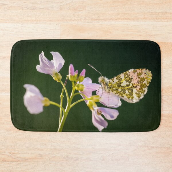 Item preview, Orange Tip Butterfly on Cuckoo Flower designed and sold by Alec Stewart.