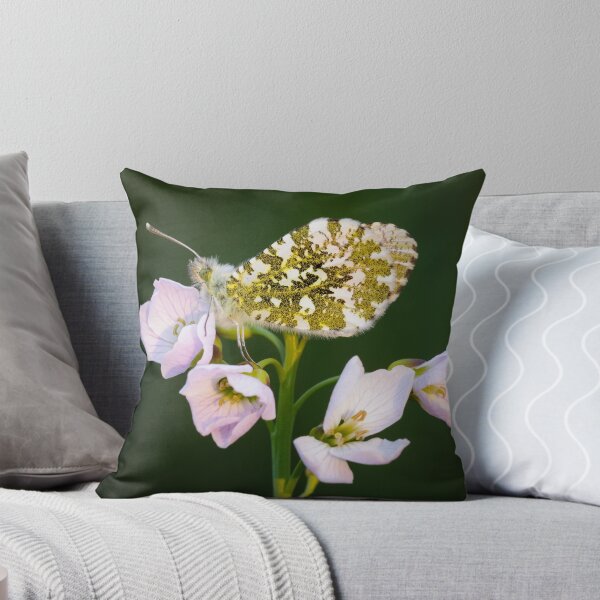 Item preview, Orange Tip Butterfly on Pink Flower designed and sold by Alec Stewart.