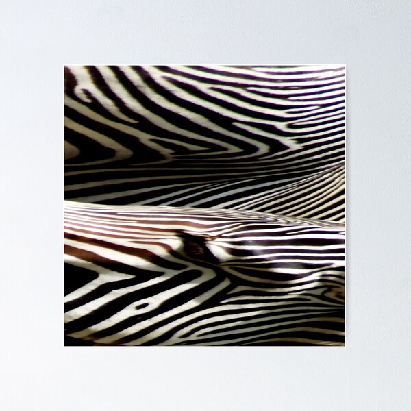 Item preview, Zebrastract designed and sold by Bluesrose.