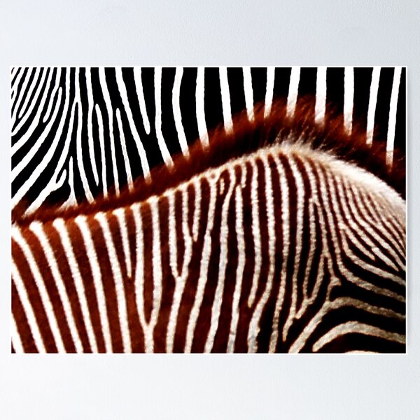 Item preview, Zebrastract. II designed and sold by Bluesrose.