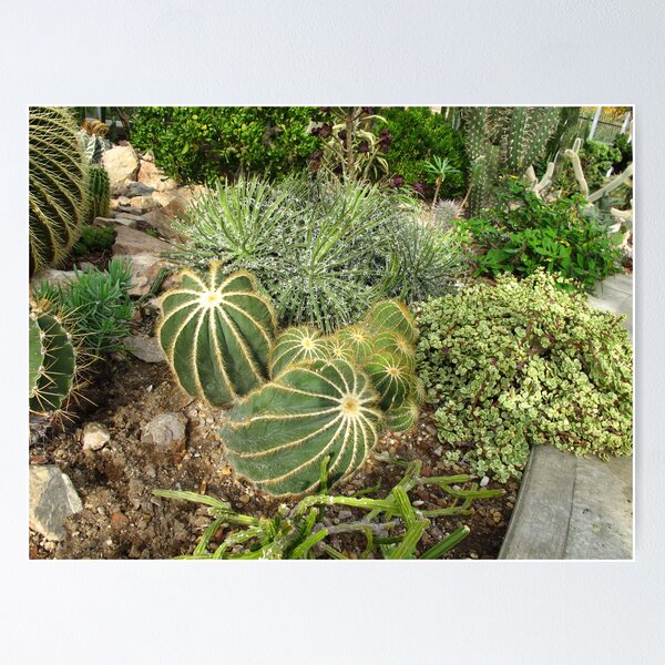 Item preview, Prickly Business designed and sold by MarianBendeth.