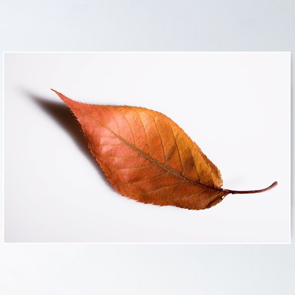 Item preview, Autumn designed and sold by Gordon Hunt.