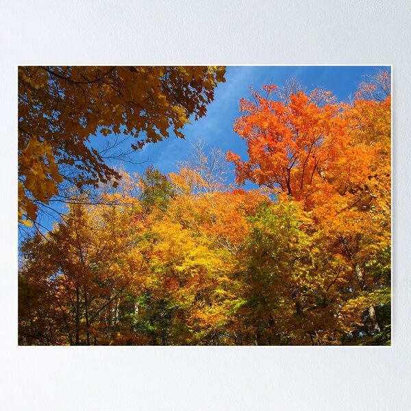 Item preview, Look up...look waaay up! designed and sold by MarianBendeth.