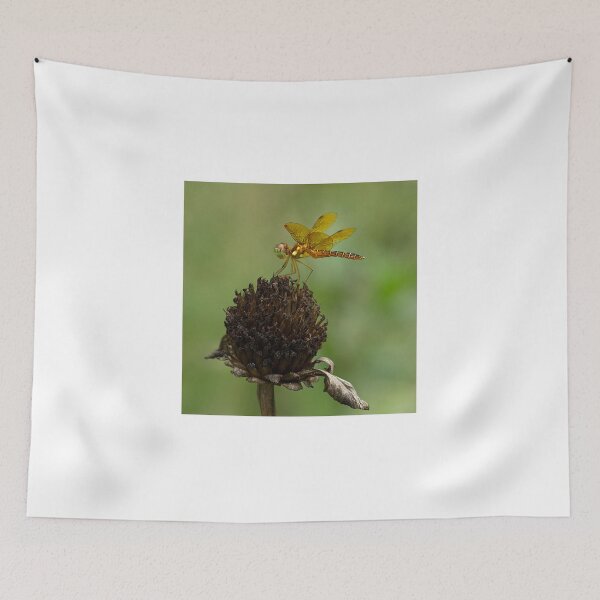 Item preview, Tiny Dancer designed and sold by Brenda Burnett.