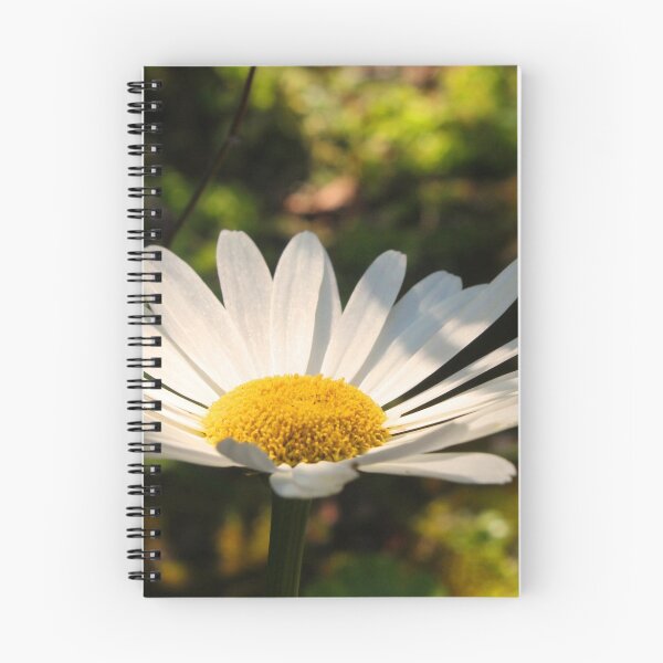 Item preview, Shasta Daisy designed and sold by wovenbright.