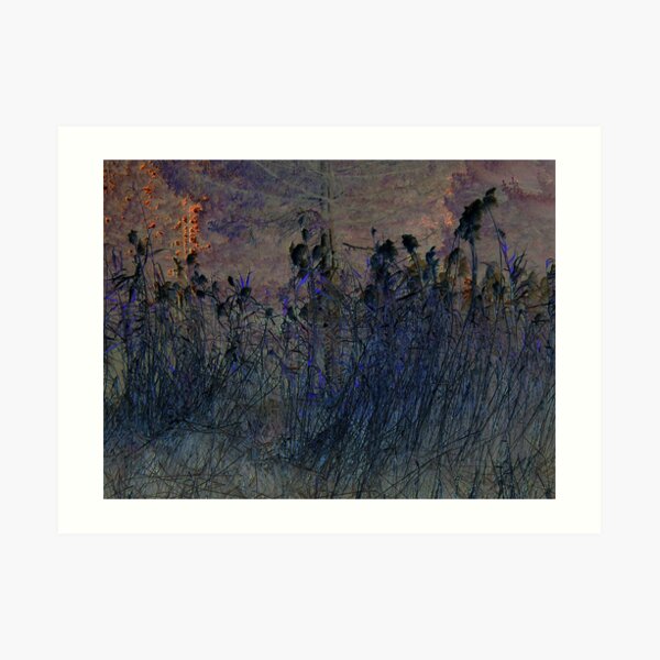 "All That Glitters" Art Print