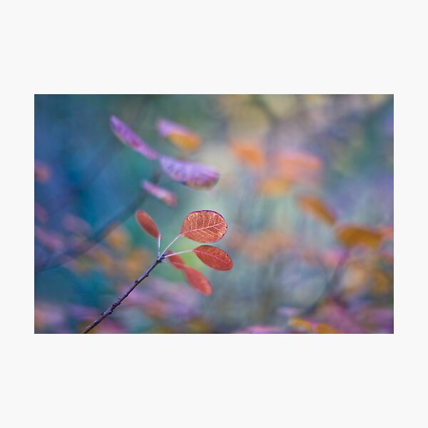 Item preview, Painting my world designed and sold by Maria Ismanah Schulze-Vorberg.