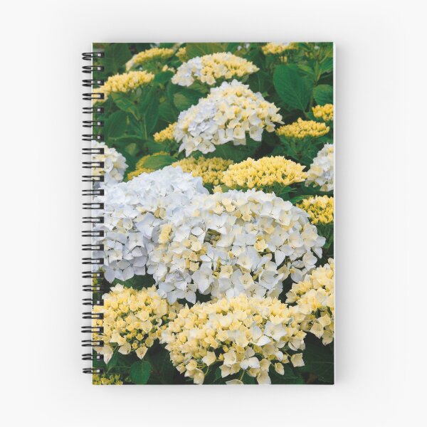 Item preview, Hortensias designed and sold by Gaspar Avila.