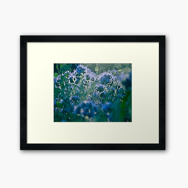 Aperçu de l'œuvre Fairy - tale  blue & blue  flax.  by Brown Sugar, Views (818)  . Dziękuję !!!! tvm..cu18r ! créée et vendue par © Andrzej Goszcz,M.D. Ph.D.