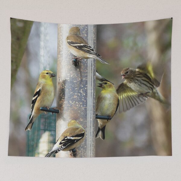 Item preview, Goldfinches at the Feeder designed and sold by Frankie Cat Photography.