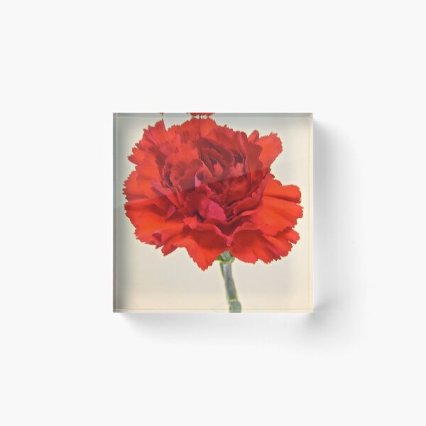 Item preview, Carnation designed and sold by Shulie1.