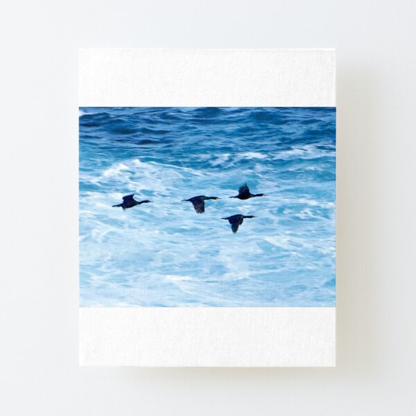 Cormorants Skimming the Waves off Inishmore Canvas Mounted Print