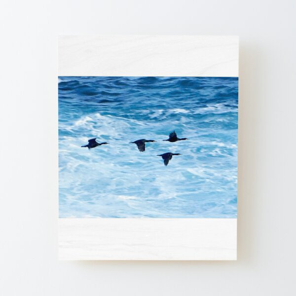 Cormorants  Skimming the Waves off Inishmore Wood Mounted Print