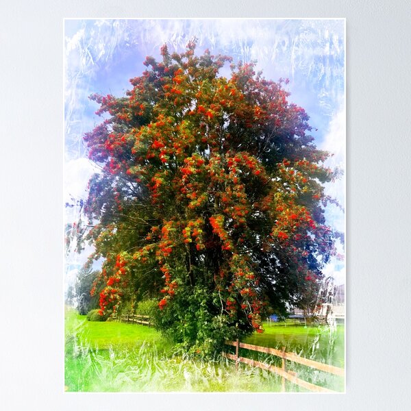 Item preview, Rowanberry designed and sold by Bente Agerup.