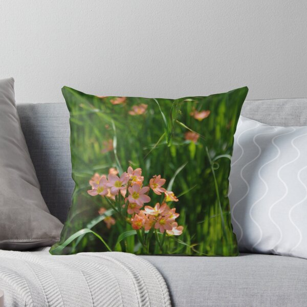 Item preview, Wild Flowers in York (Cape Tulips) designed and sold by lezvee.